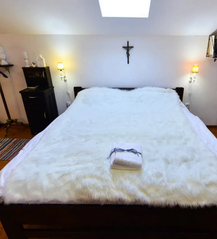 Apartament Premium — Casa de Oaspeți Frauendorf, Axente Sever, Sibiu