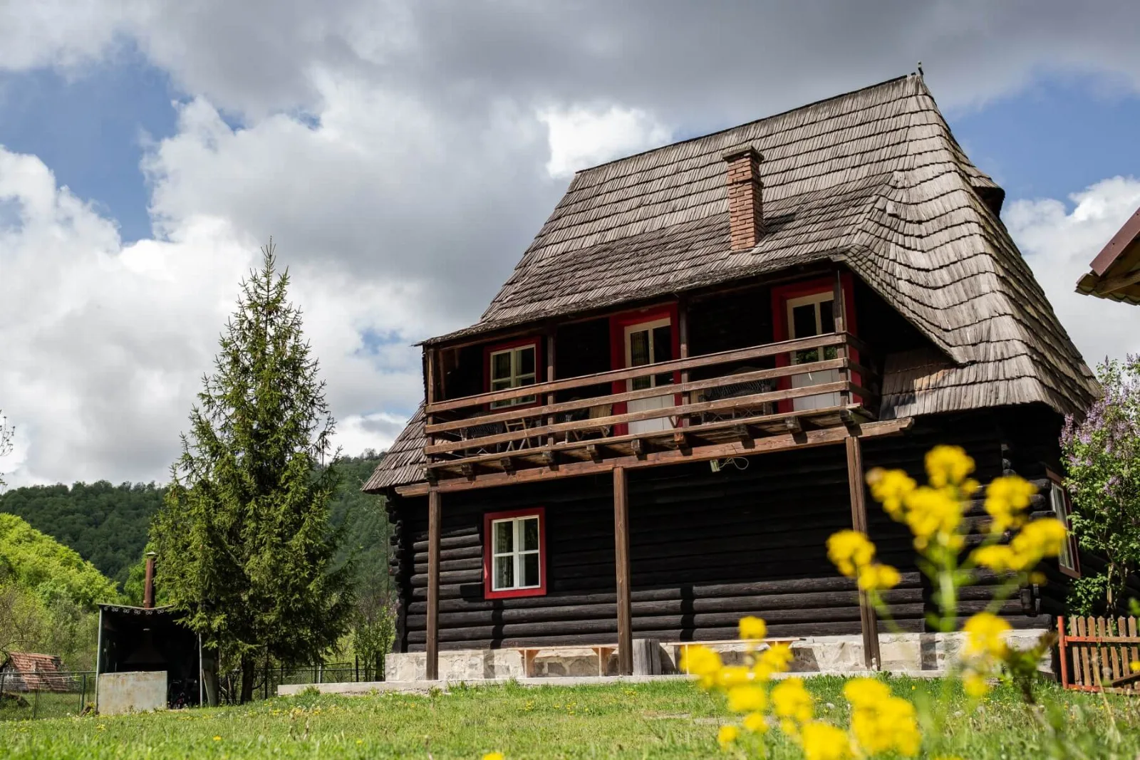 Fotografie 2 — Iubu, Valea Drăganului, Cluj