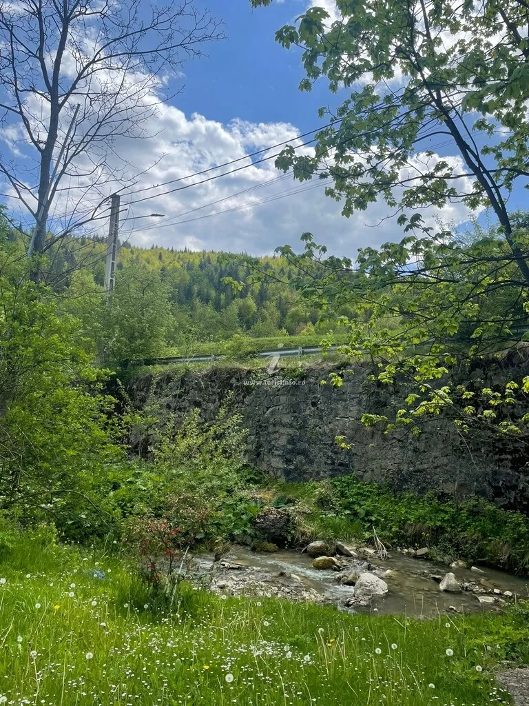 Pensiunea Poiana
