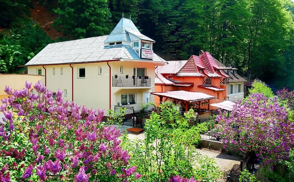 Casa Bamby