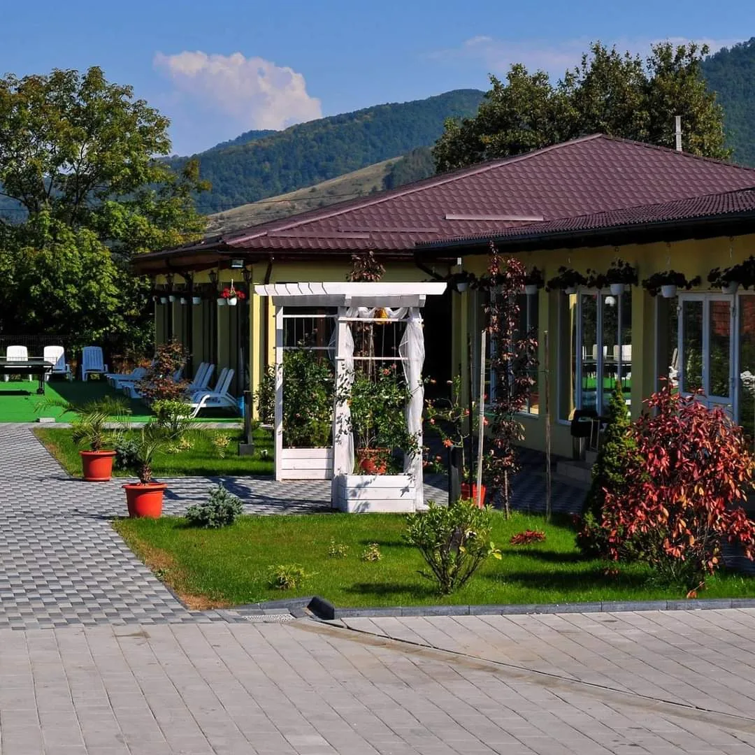 Vadu Izei