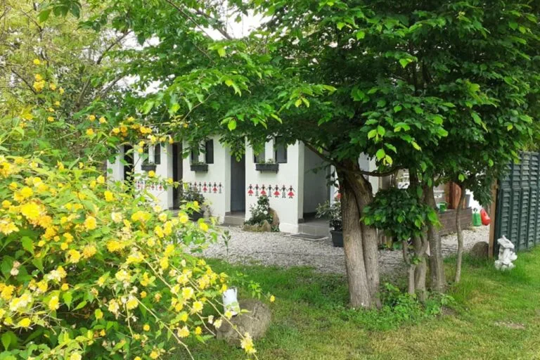 camping de Oude Wilg