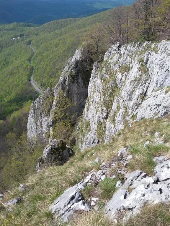 Pensiunea Piatra Graitoare