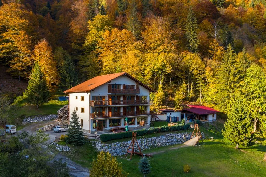 Panorama Pietrei Craiului