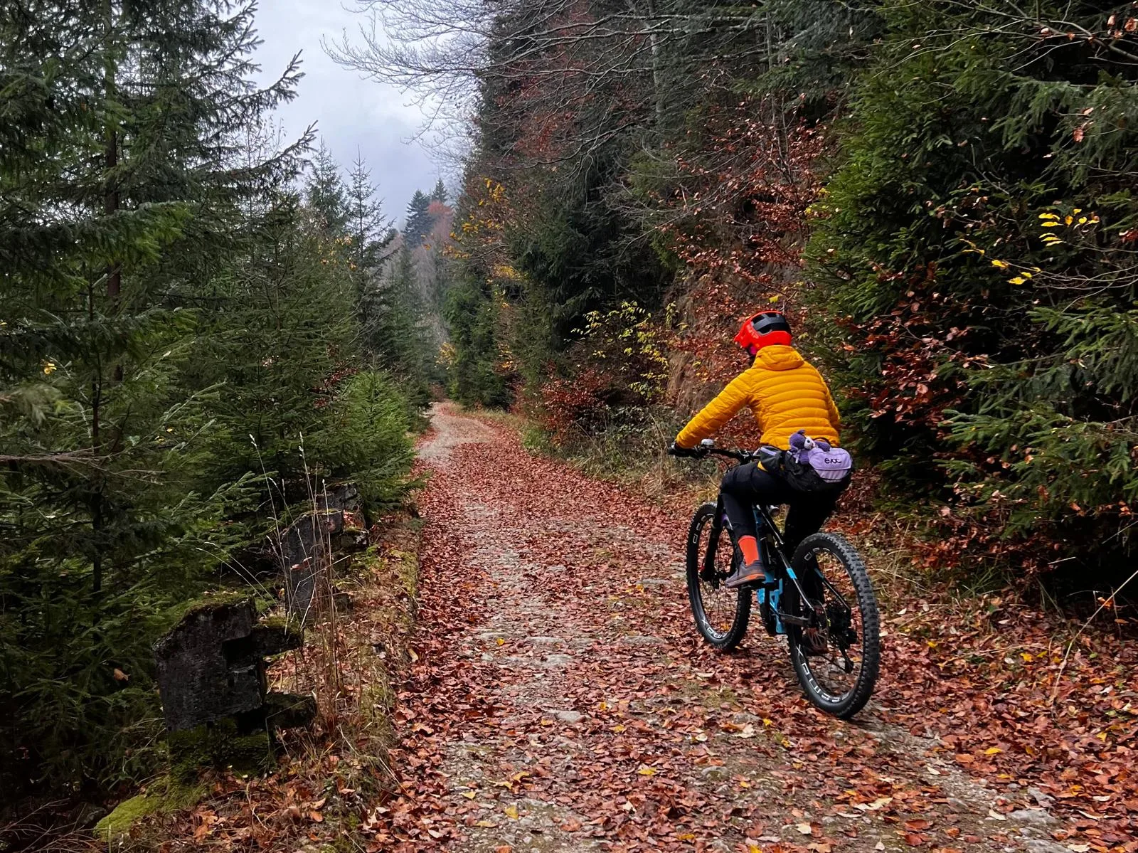 Pensiunea Panorama Pietrei Craiului