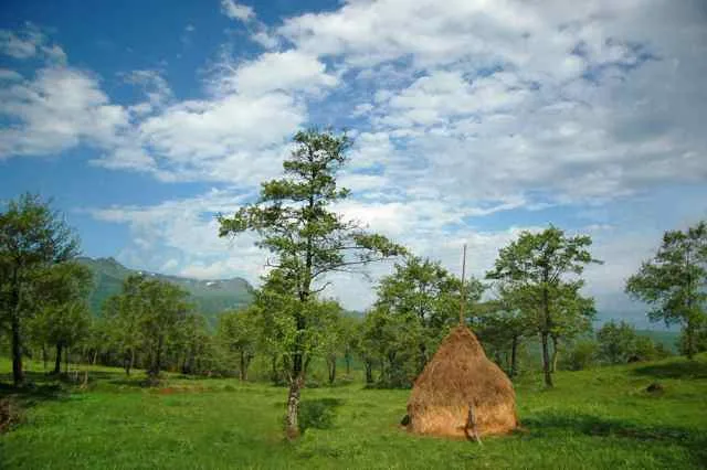 Poienita