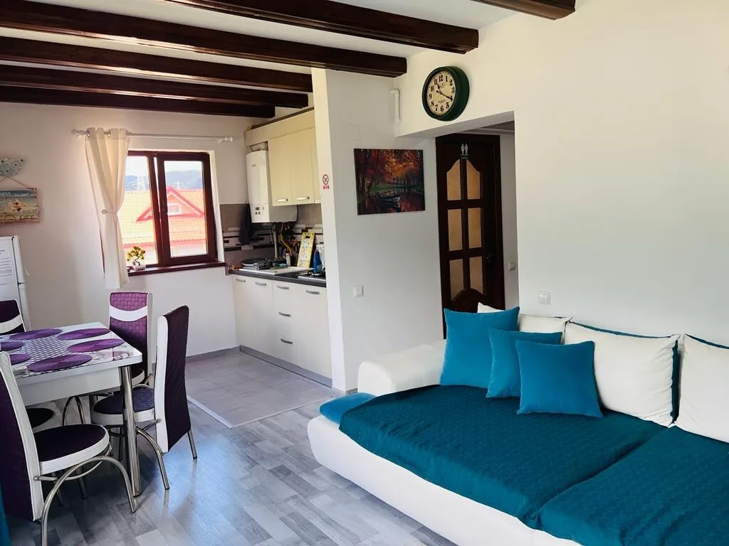 Fotografie 3 — Panoramic View Apartment - Busteni, Bușteni, Prahova