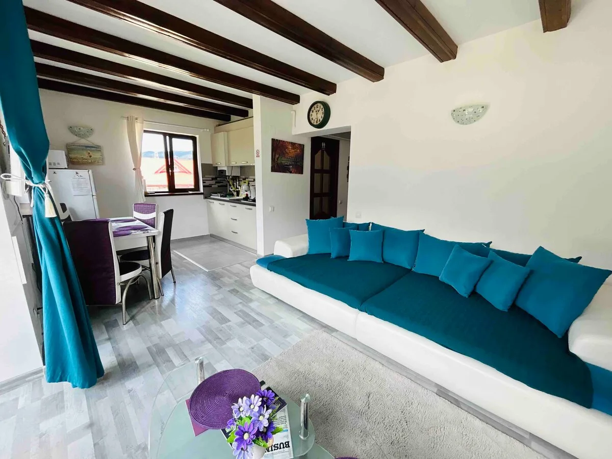 Panoramic View Apartment - Busteni