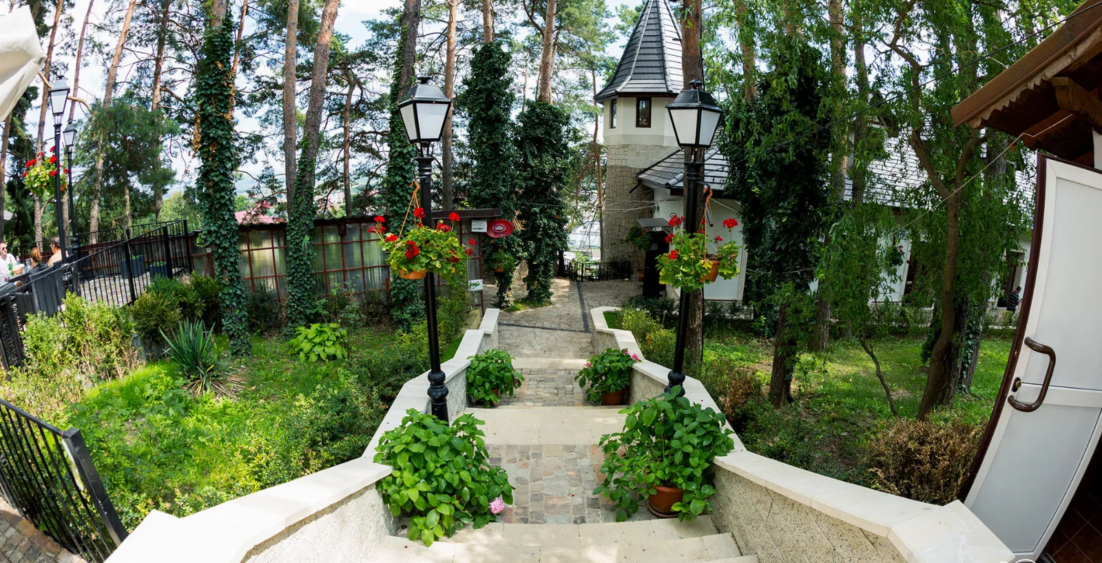 Complex Parc Pini Moinesti