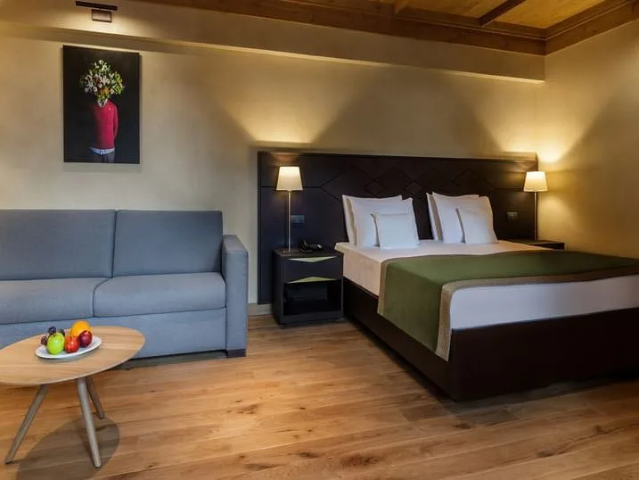 King Studio — Ana Hotels Bradul, Poiana Brașov, Brașov