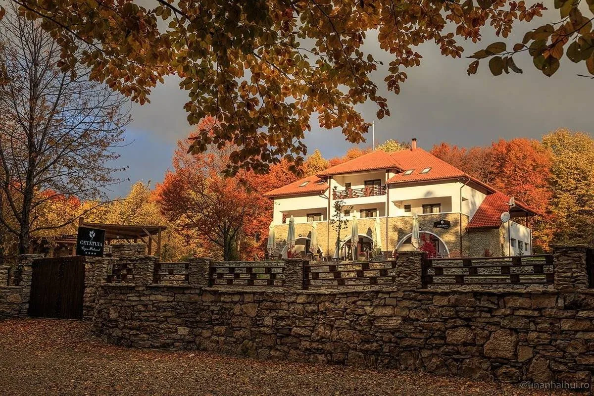 Cetatuia Hotel & Restaurant