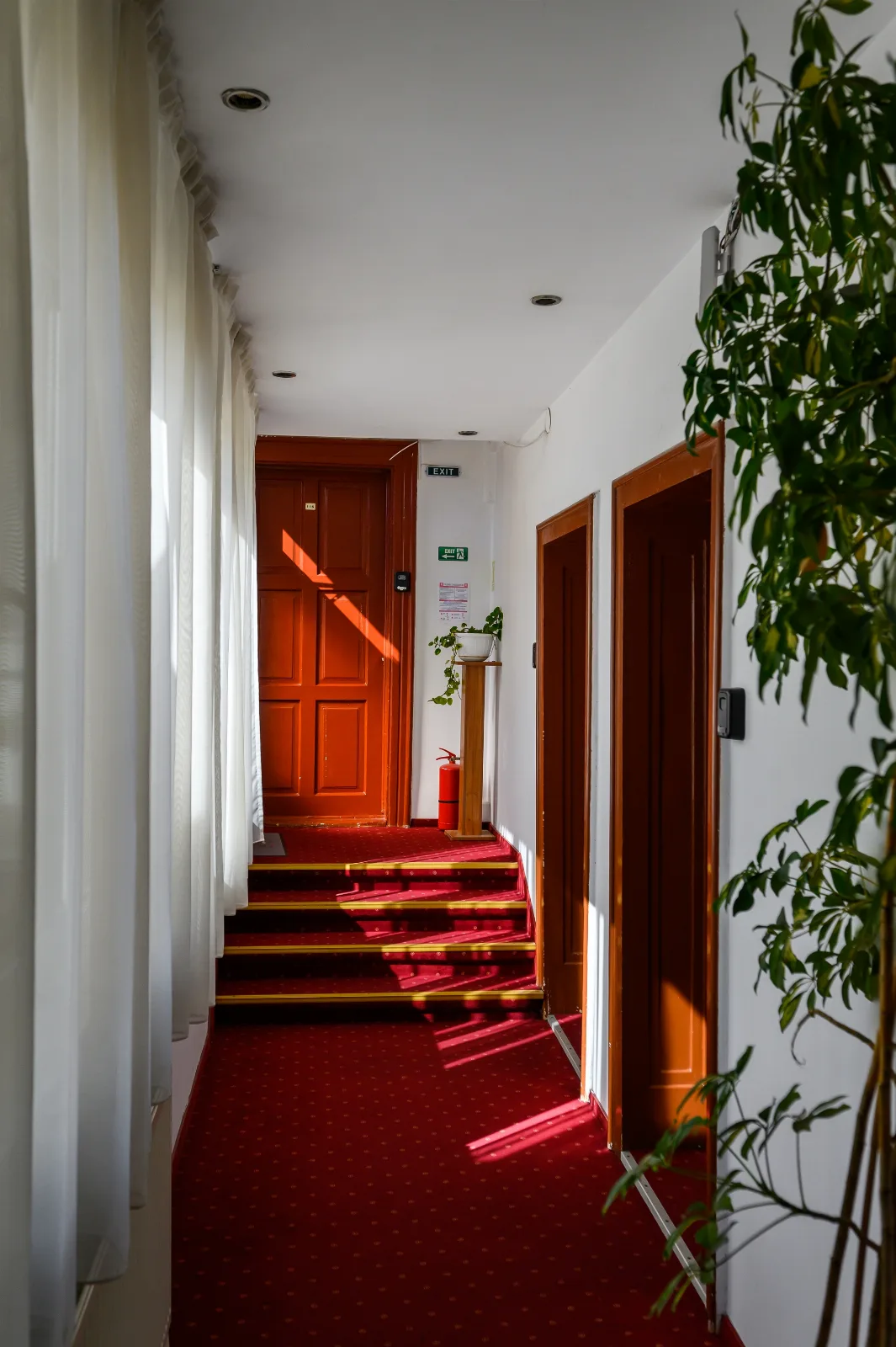 Hotel Transilvania
