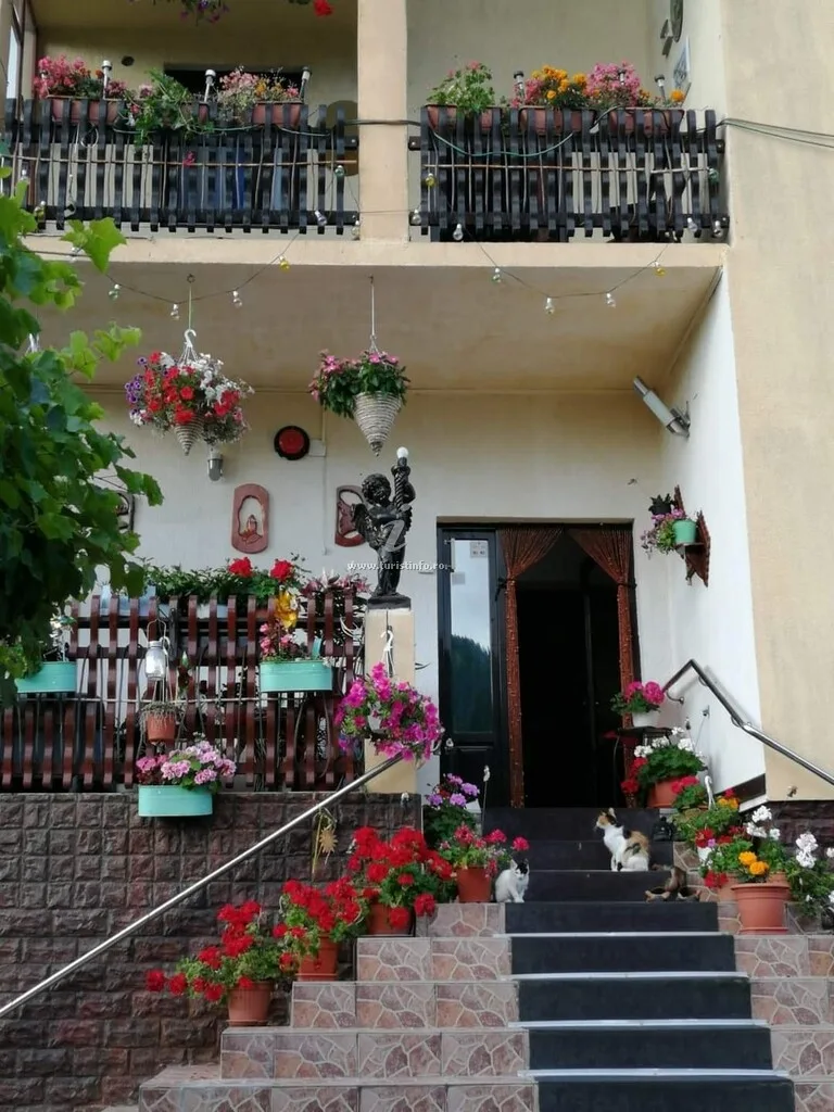 Flori de Bucovina