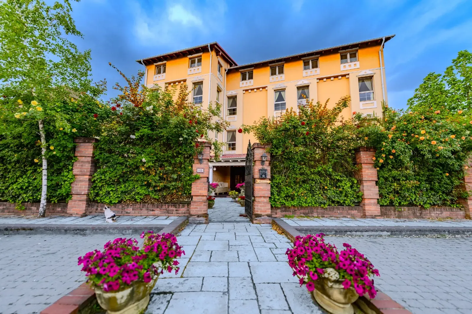 Casa de la Rosa