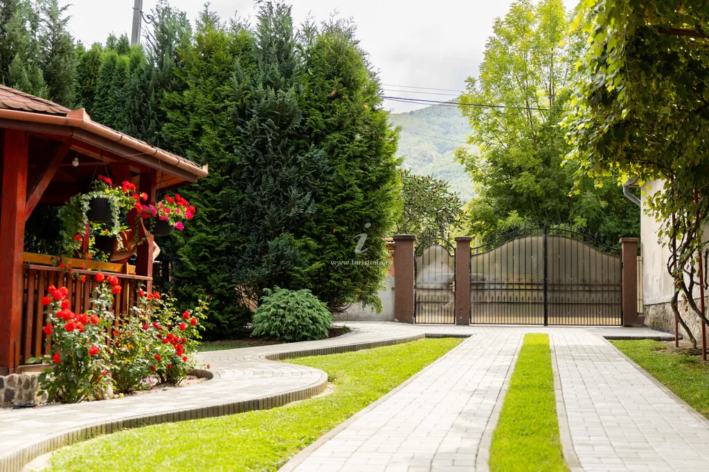 Casa de vacanta Diana Turnu Rosu