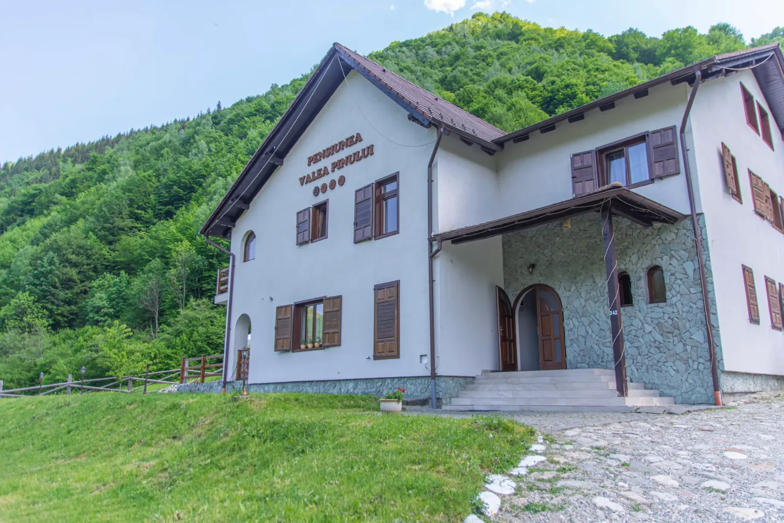 Valea Pinului