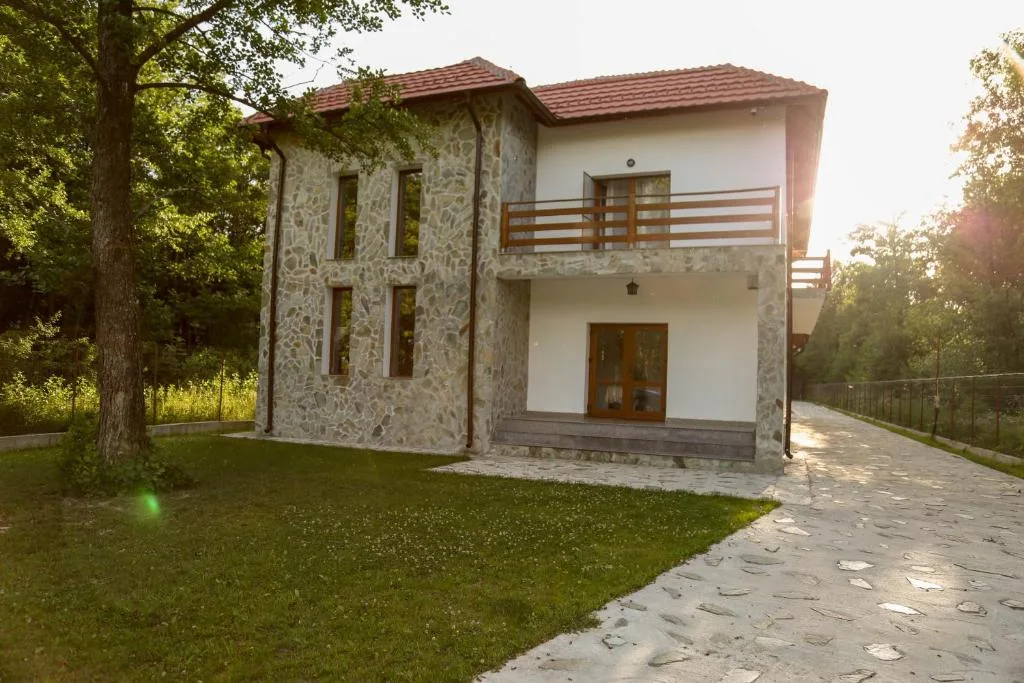 Doi Amici