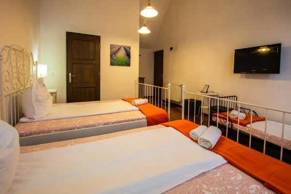 Apartament cu living și pat matrimonial — Casa Barolo, Vlaha, Cluj
