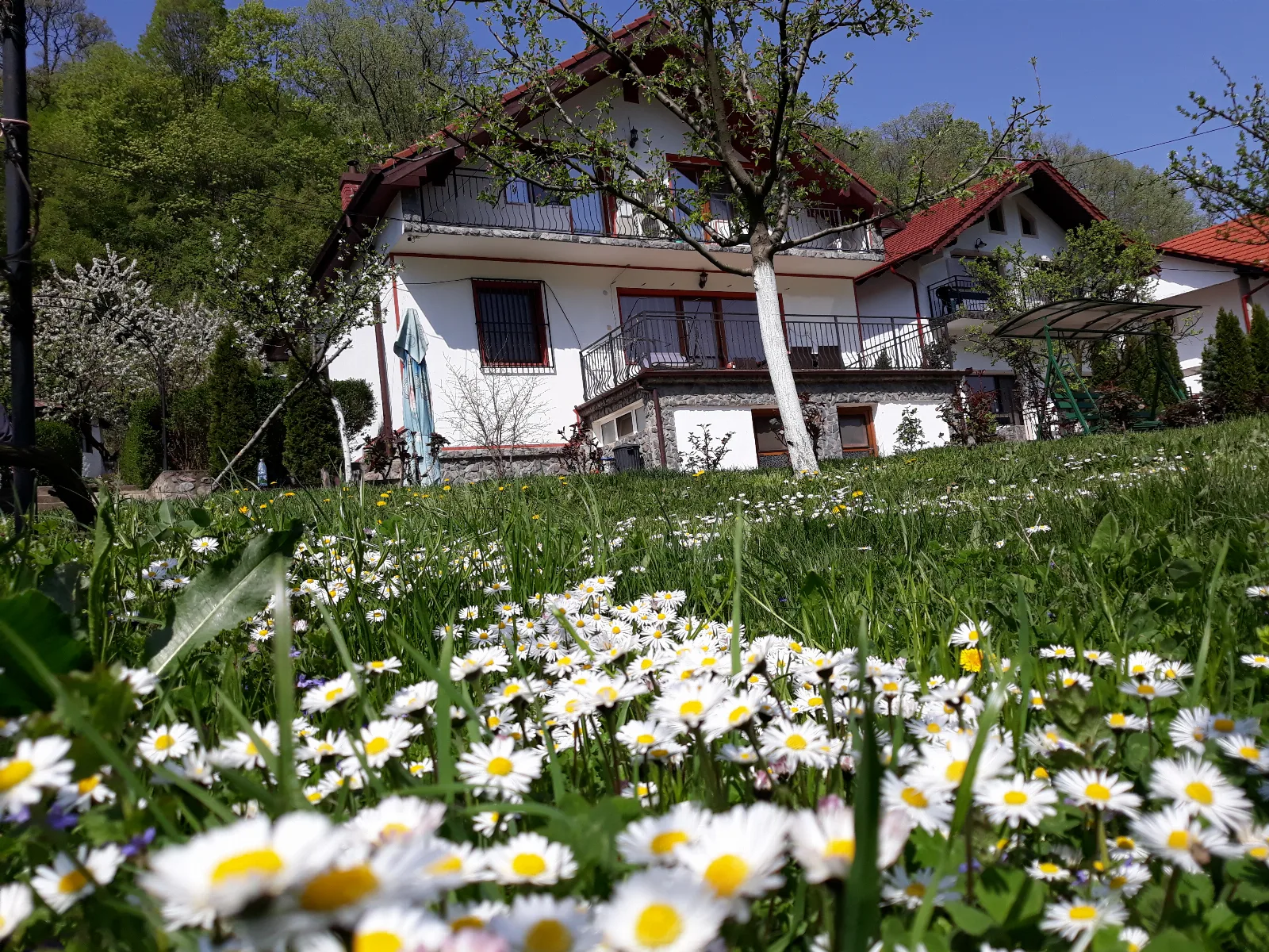 Pensiunea Casa Natura