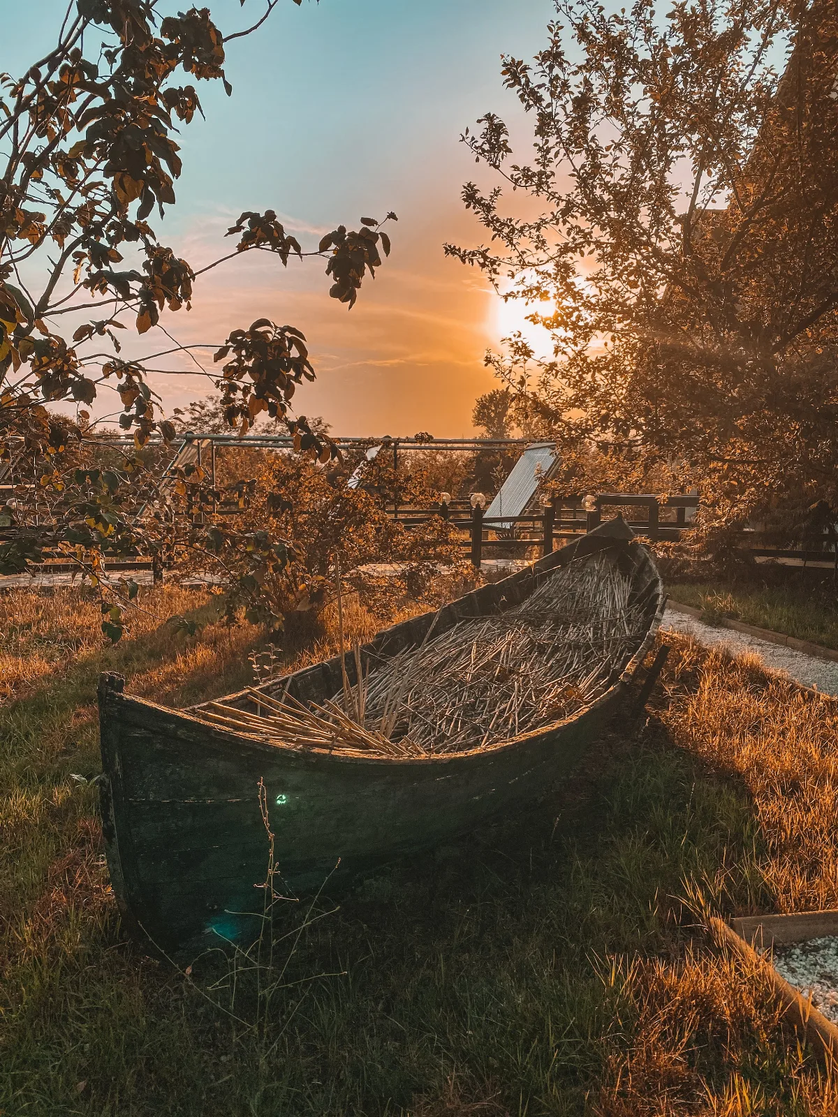 Fotografie 2 — Pensiunea EDEN, Crișan, Tulcea