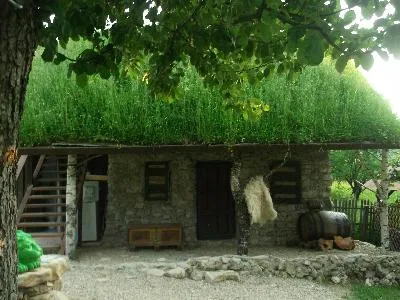 Pensiunea Anghel a lu' Radu