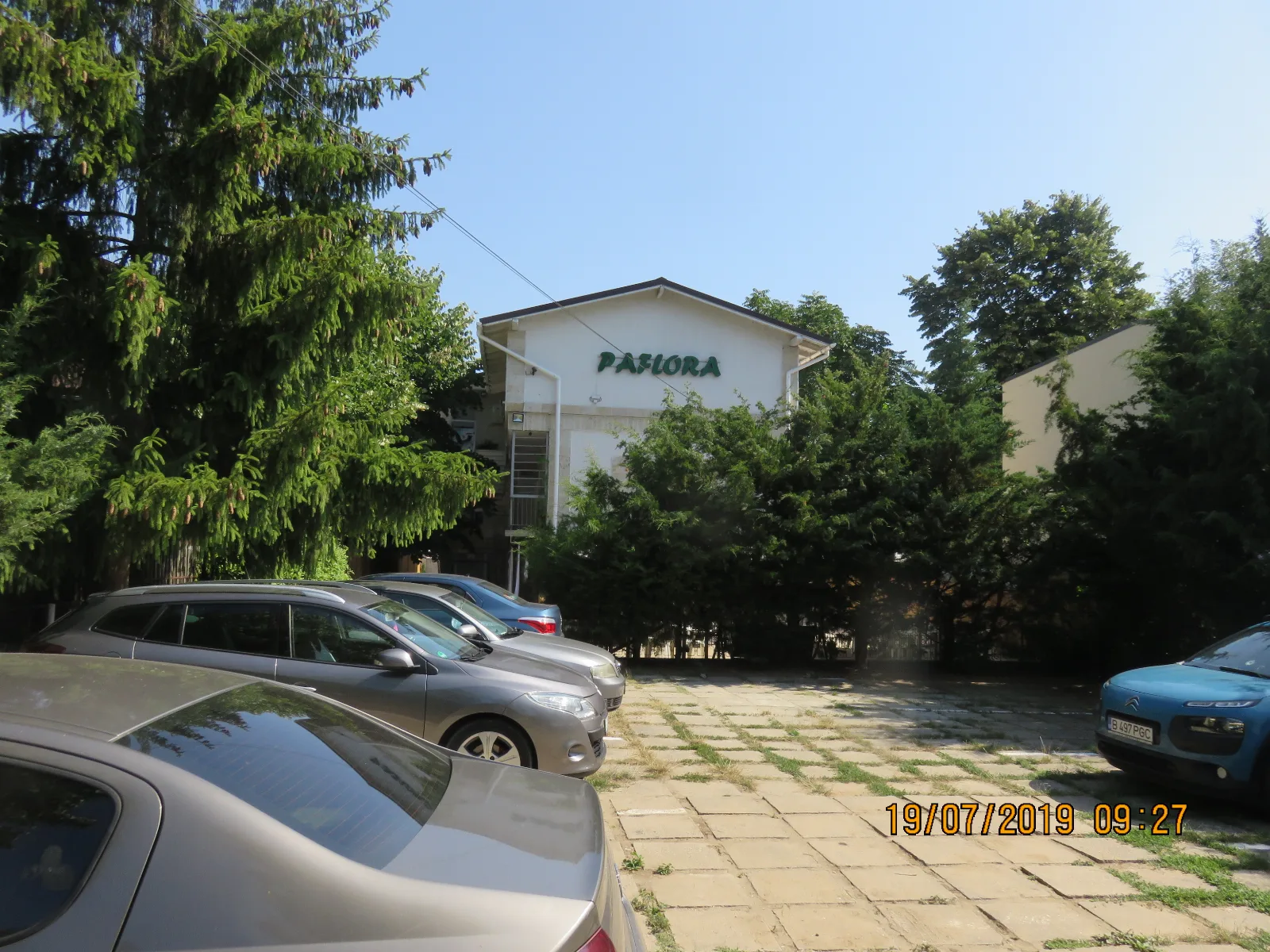 Paflora