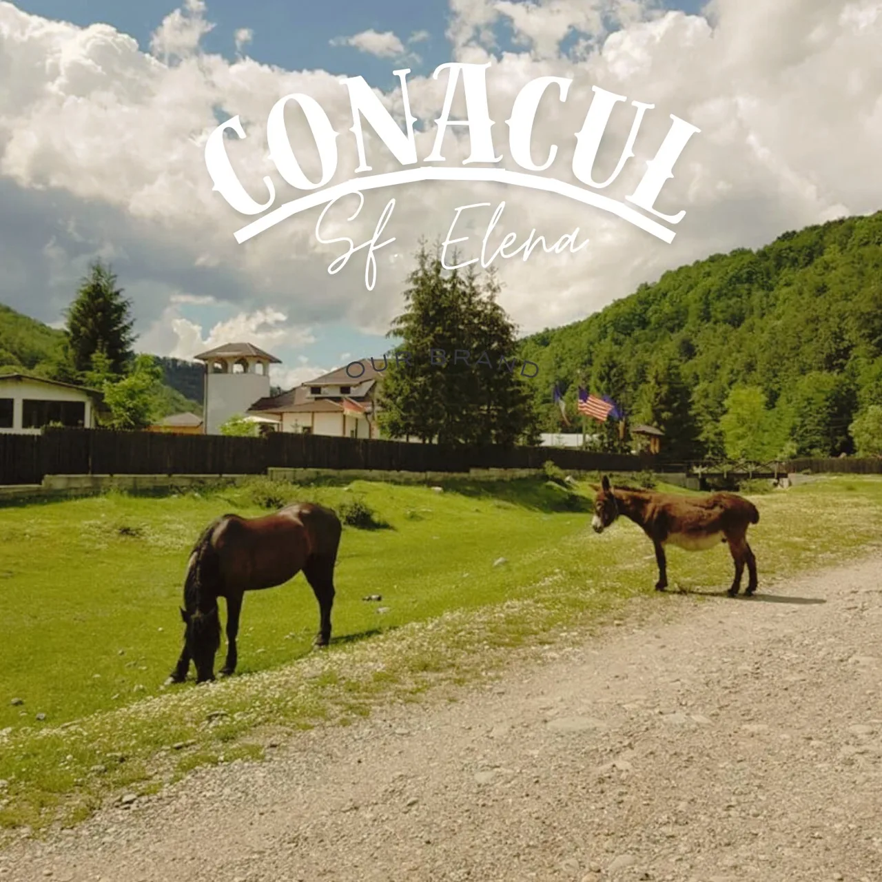 Conacul Sfânta Elena