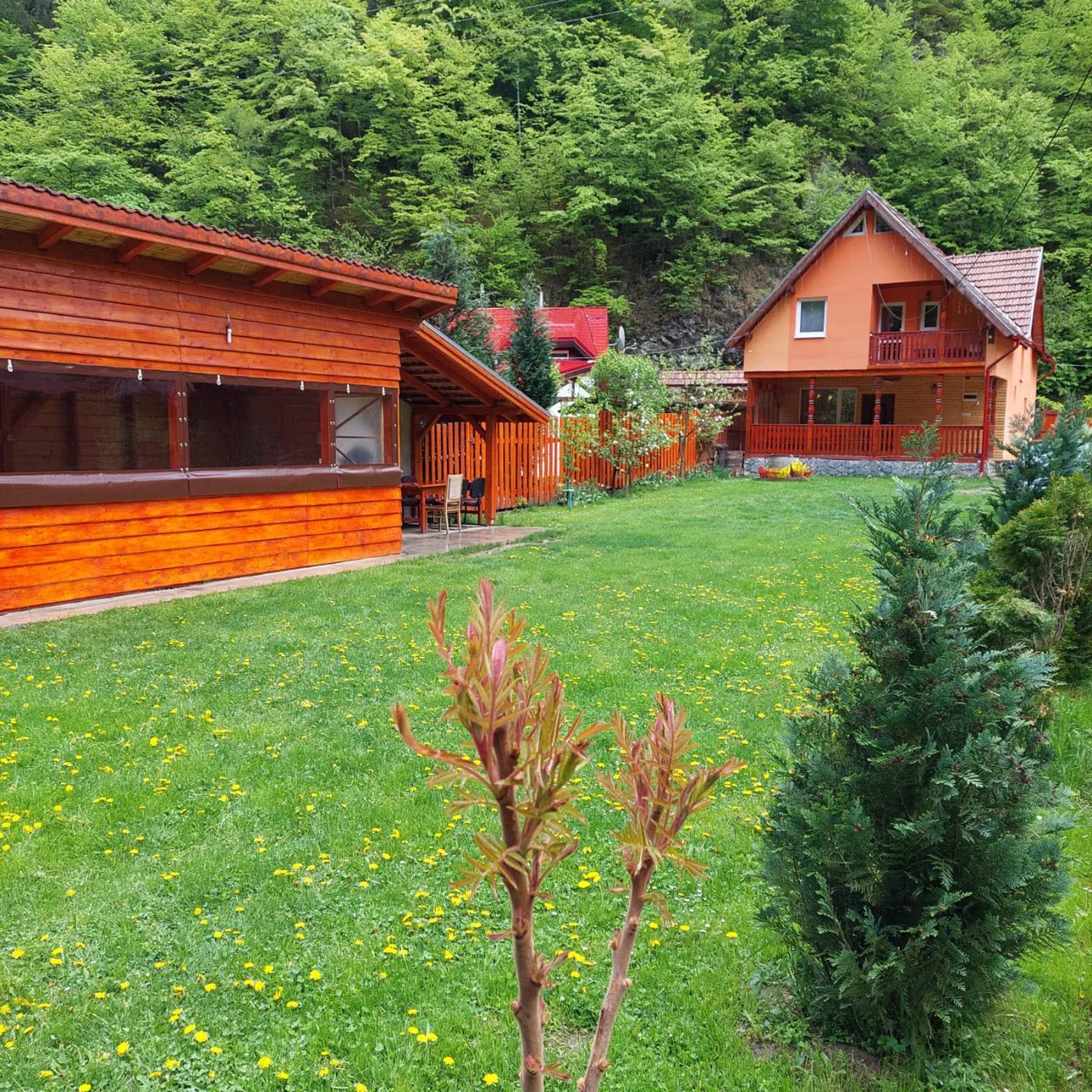 Cabana de sub piatră