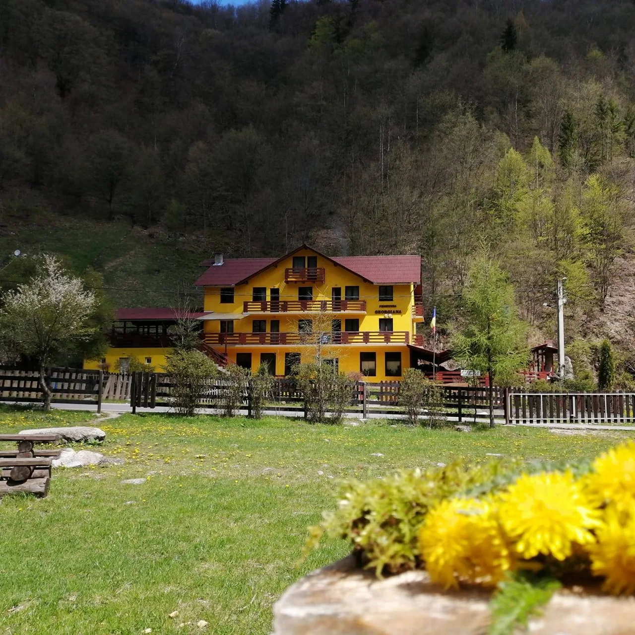Pensiunea Georgiana , Maguri-Racatau, Cluj