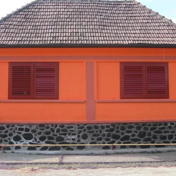 Cazare Casa Elena