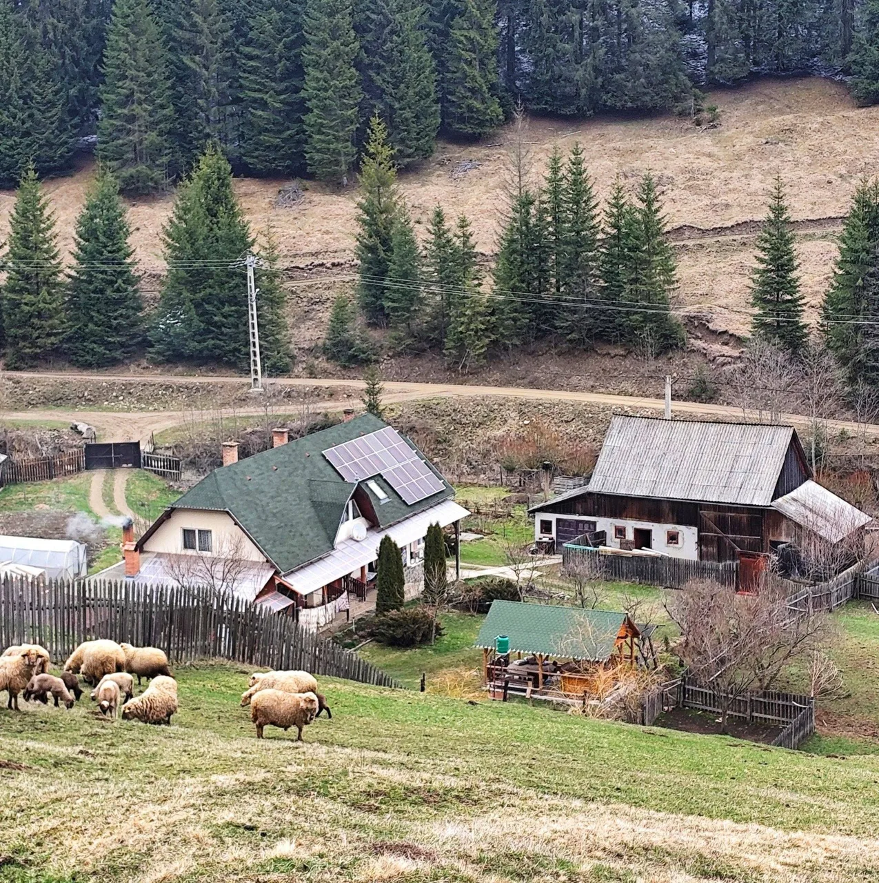 Casa de oaspeți "Csángó" Vendégház
