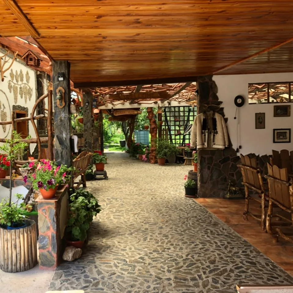 Casa Vlad Hațeg
