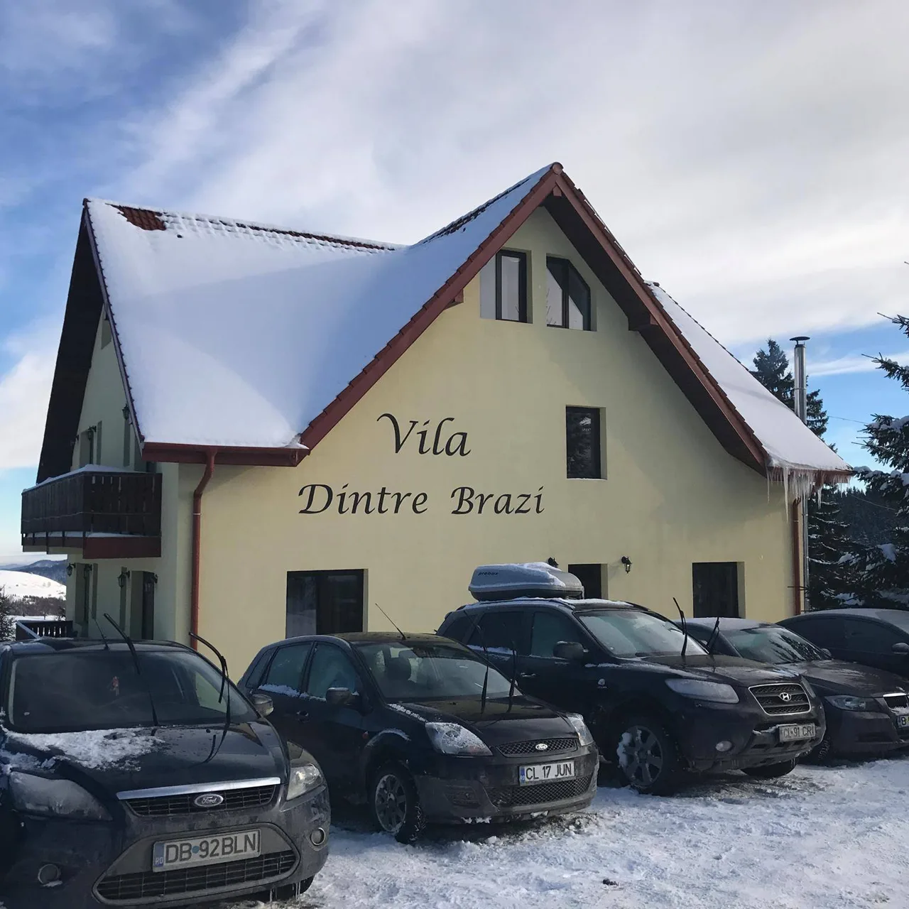 Vila Dintre Brazi Paltinis