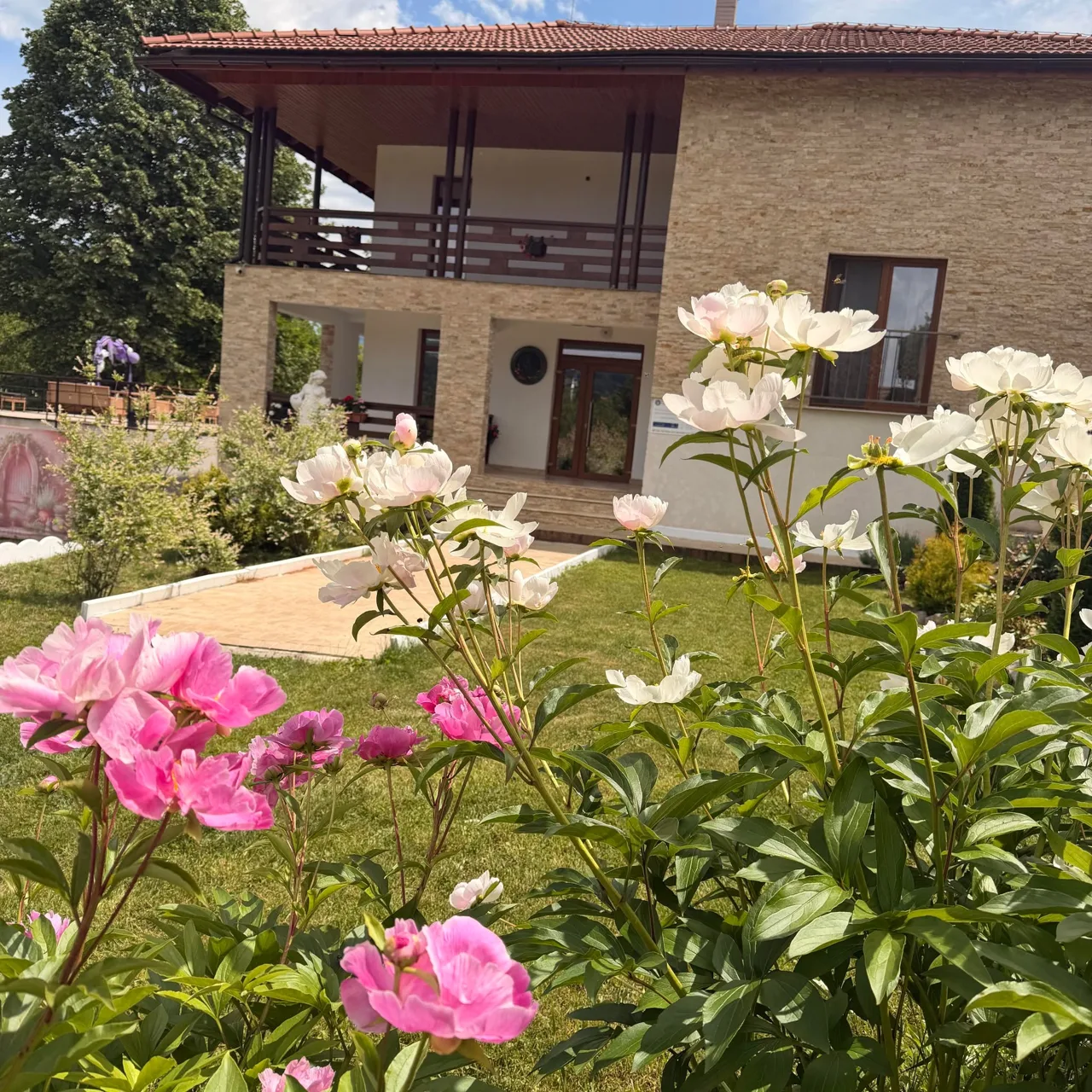 Pensiunea ,,Casa Daria''
