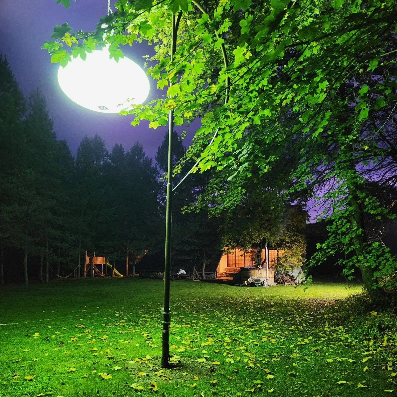 Cabana Opss Foișorul ascuns