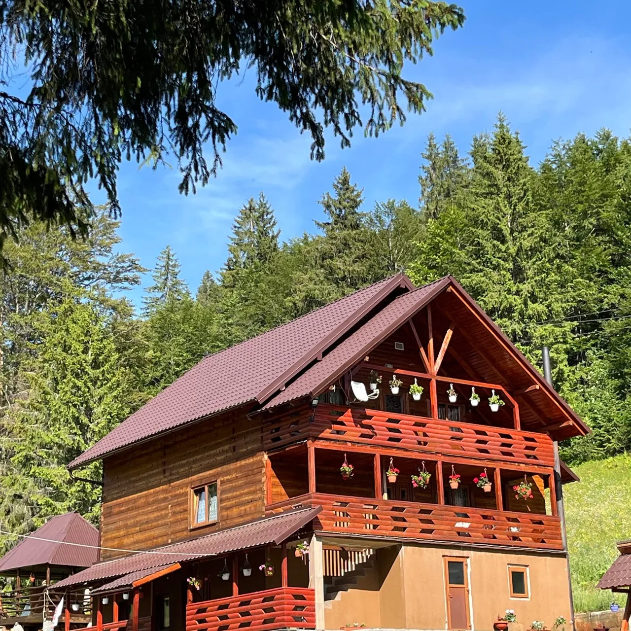 Cabana Sânziana