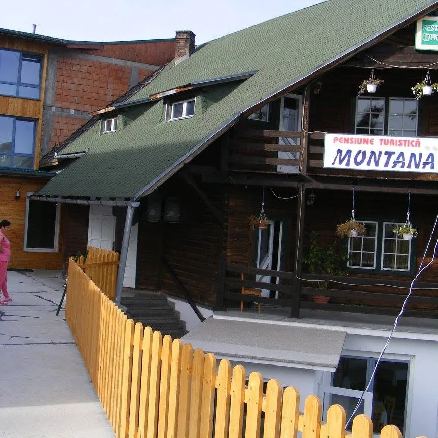 Pensiunea Montana Băișoara