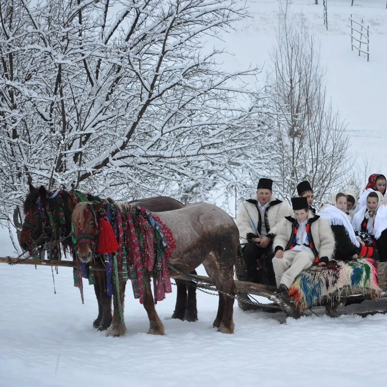 Cabana Iza Maramures Barsana