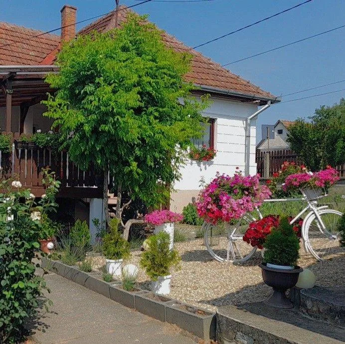 Casa Teonia