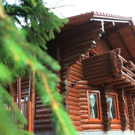 Rustic Păltiniș