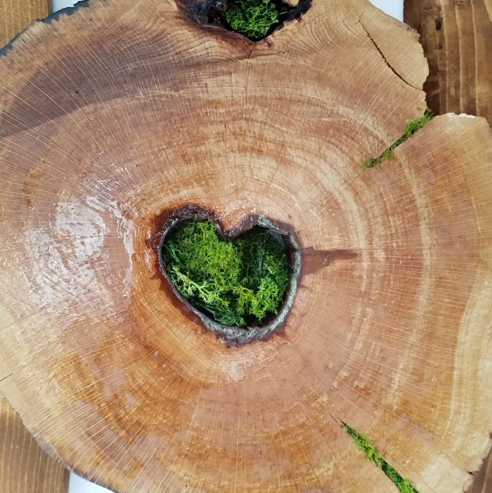 GreenHeart-Măguri