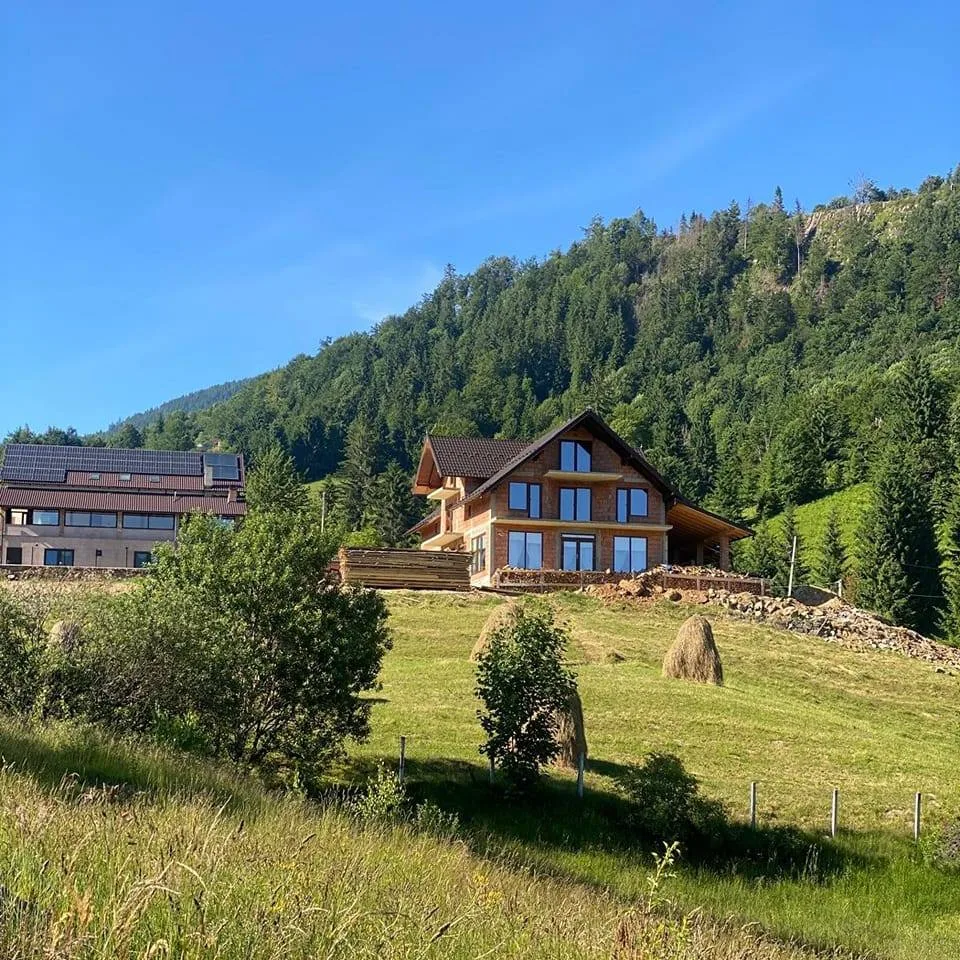 Vila Albia Colibiței