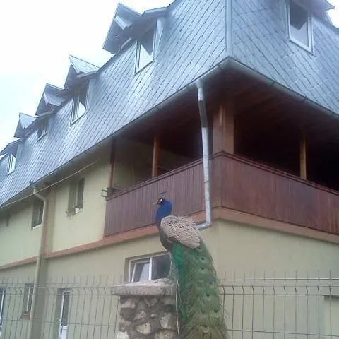 Pensiunea "La Andrusa"
