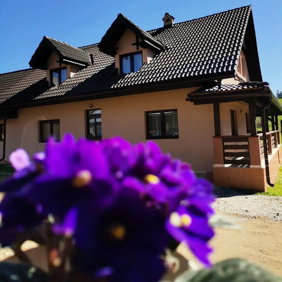 Casa Olivia