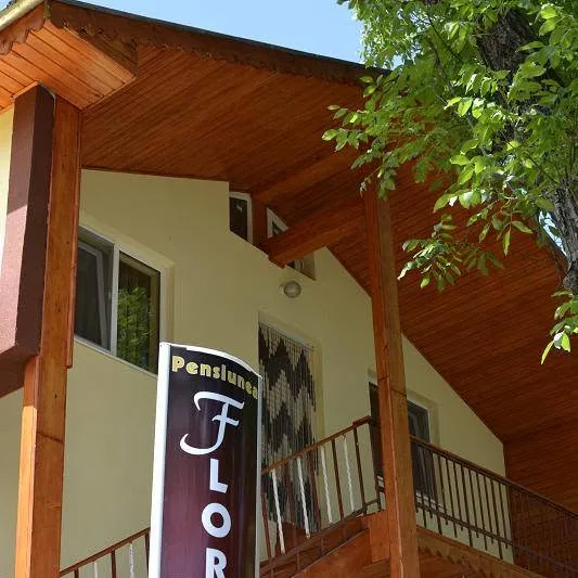 Pensiunea Florina