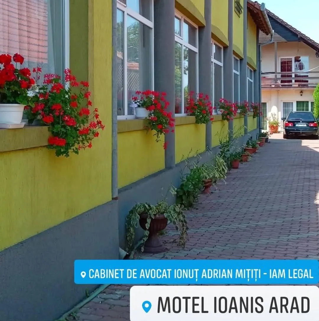 Ioanis