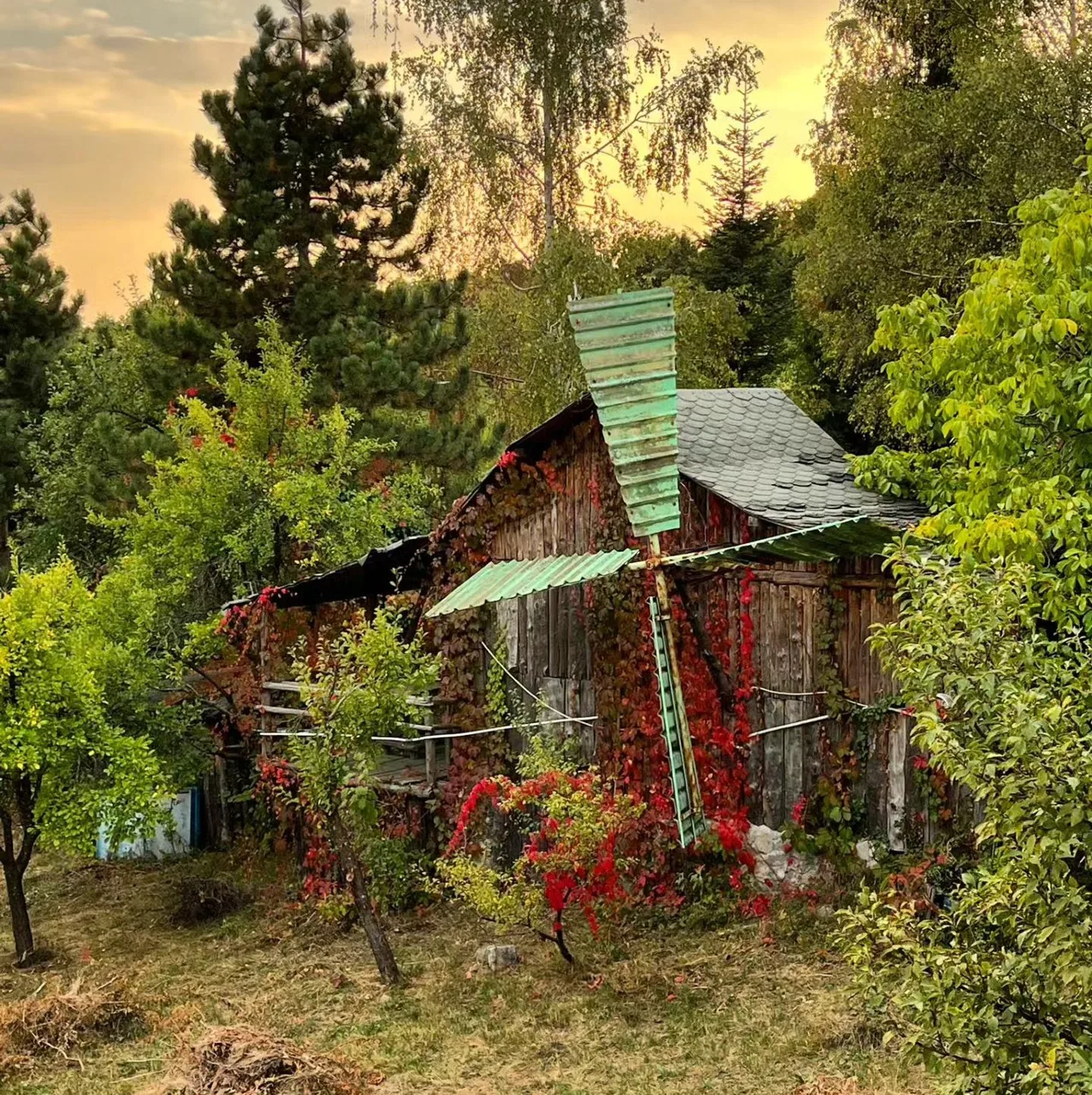 TEI Cabin