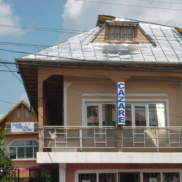 Pensiunea Paltinu