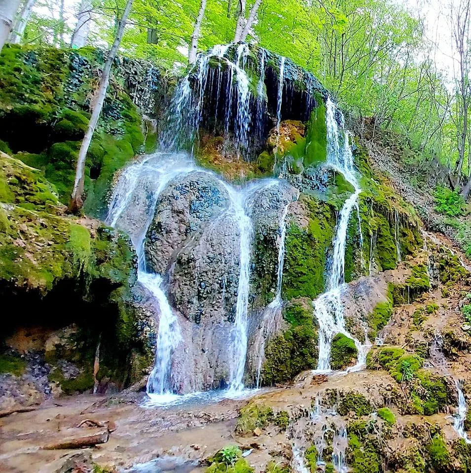 La Malul Dunării