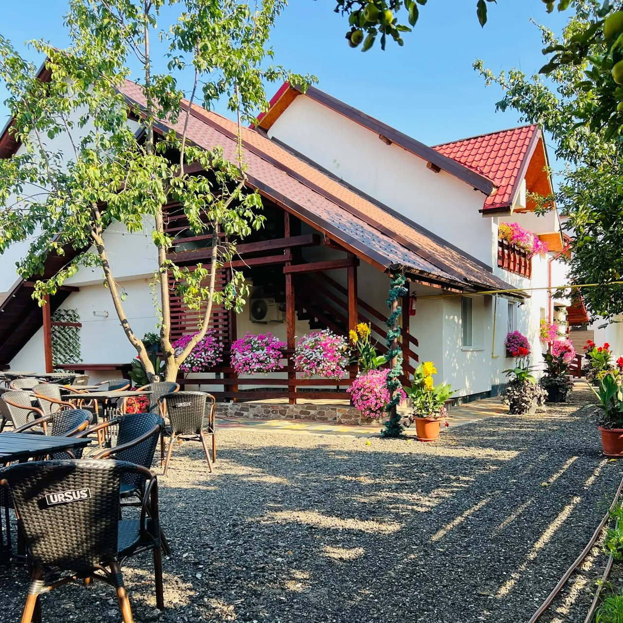Cinema Villa Elena